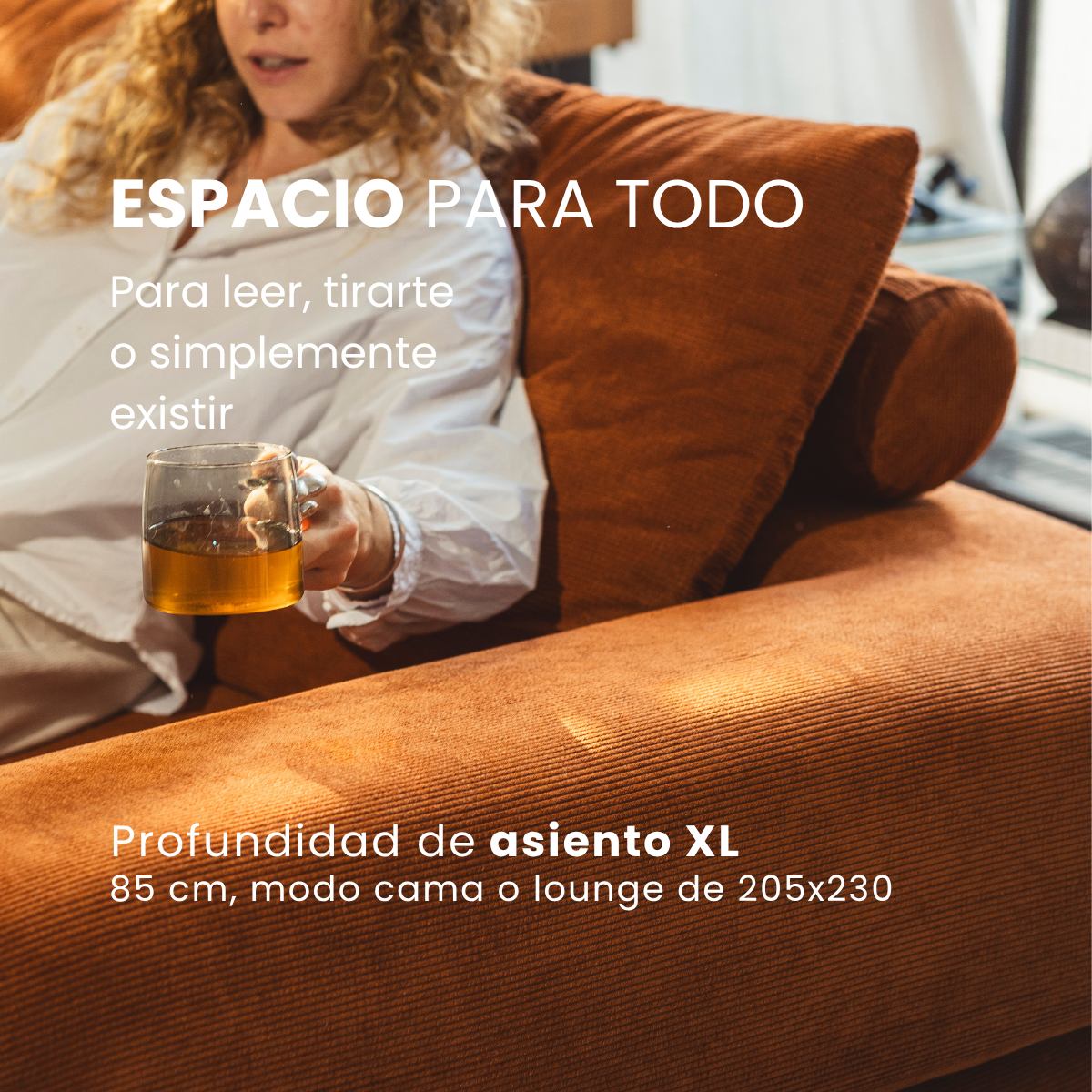 Sofa Cama Napster Dijon