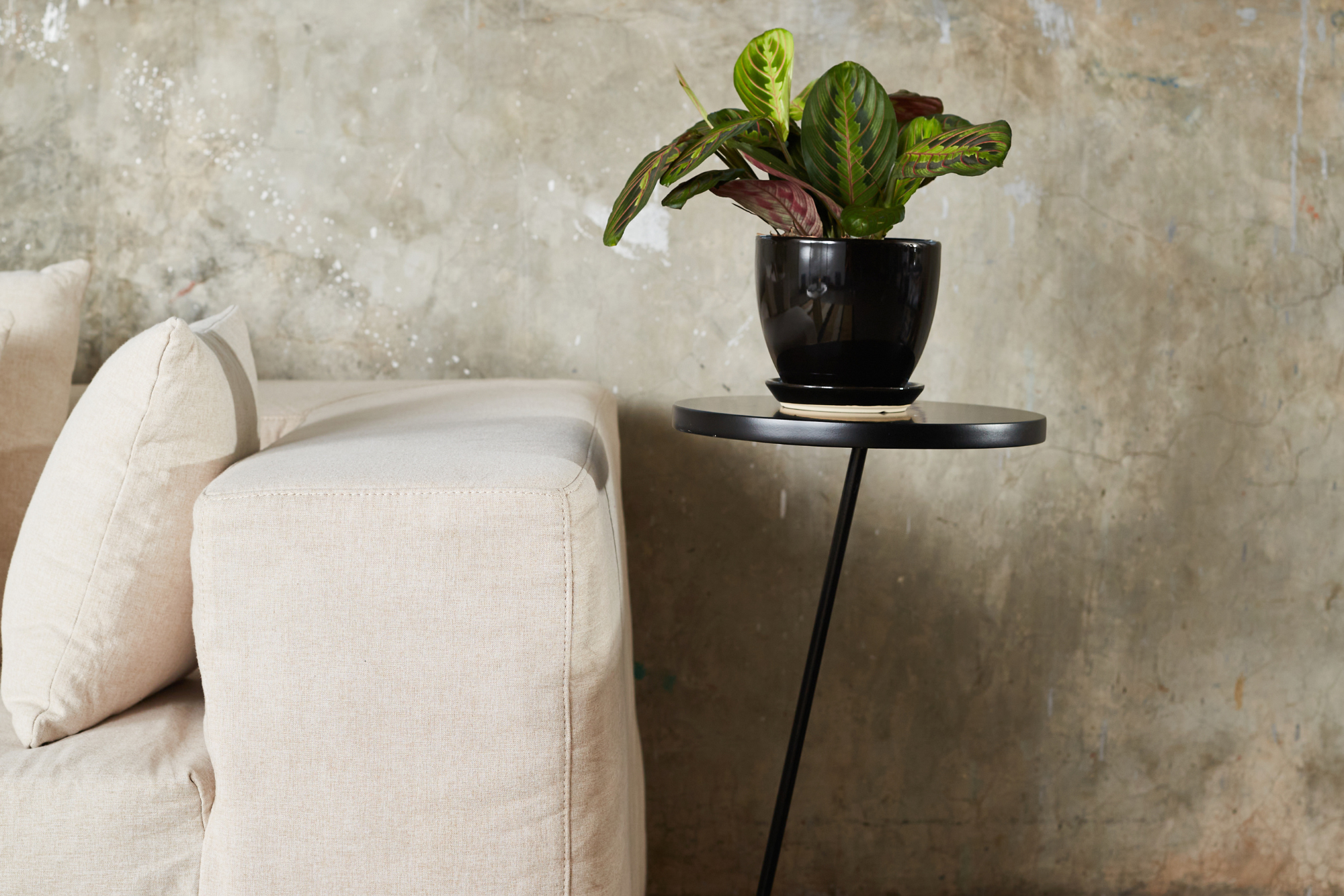 SOBOX 3 PLAZAS GRAFITO